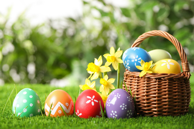 Photo of Colorful Easter eggs and daffodil flowers in green grass. Space for text