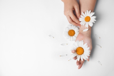 Photo of Woman with beautiful chamomile flowers on white background, top view