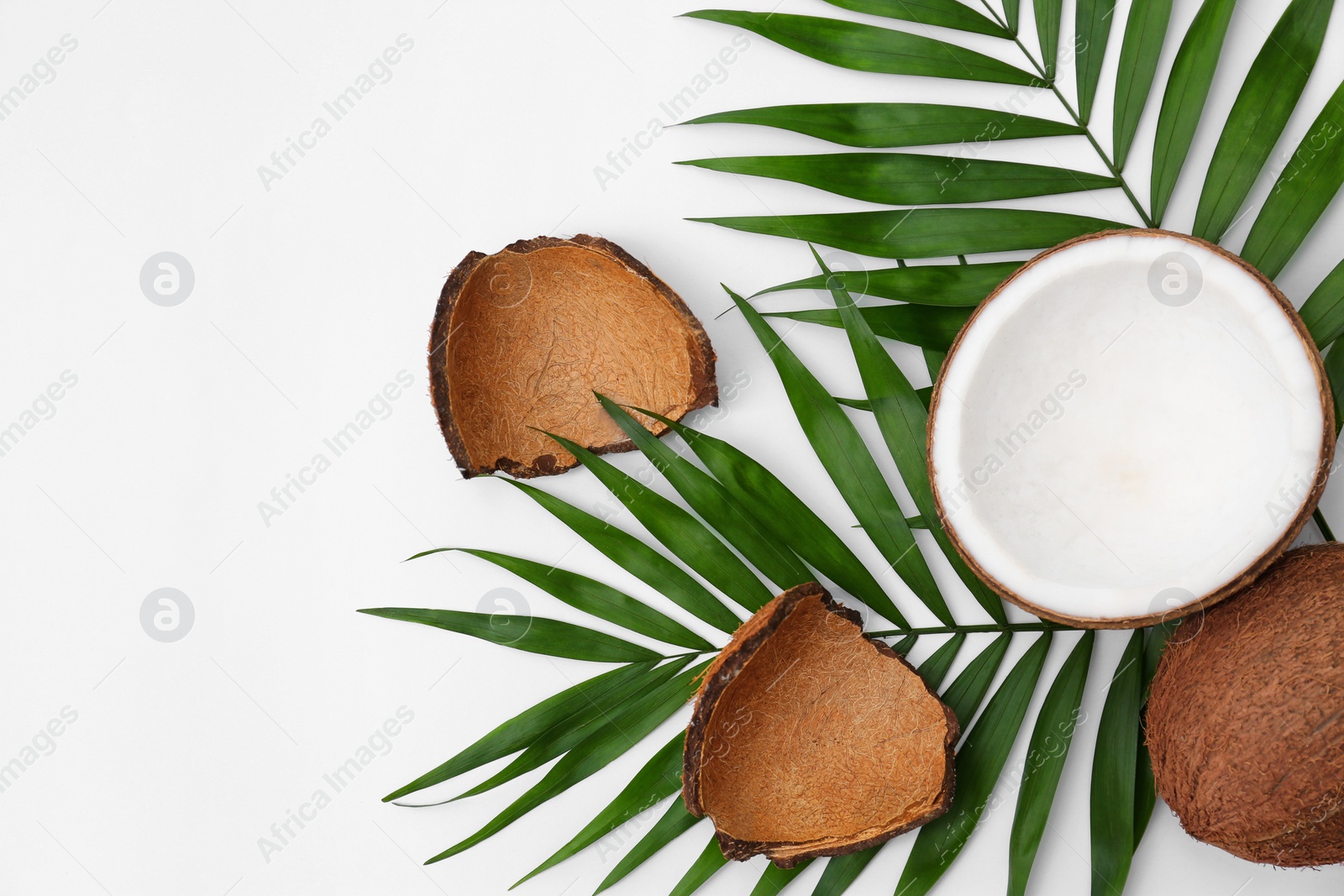 Photo of Fresh coconuts and palm leaves on white background, top view