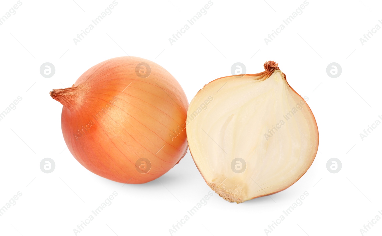 Photo of Whole and cut onions on white background