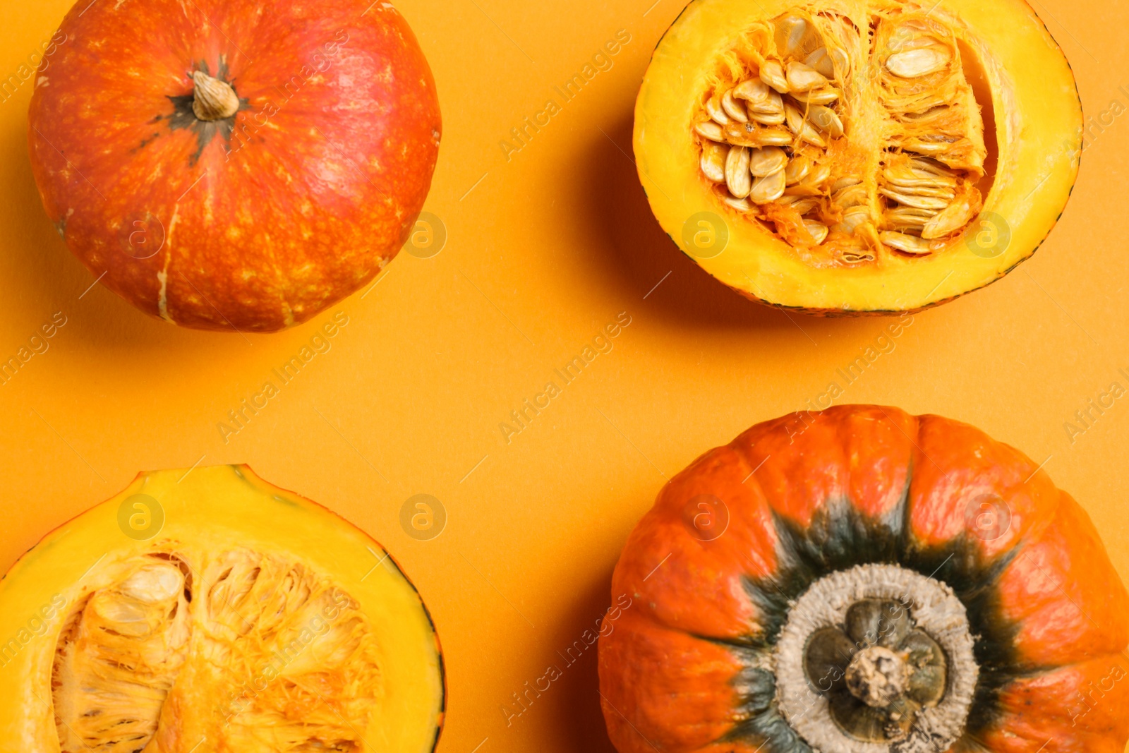 Photo of Fresh ripe pumpkins on orange background, flat lay. Holiday decoration