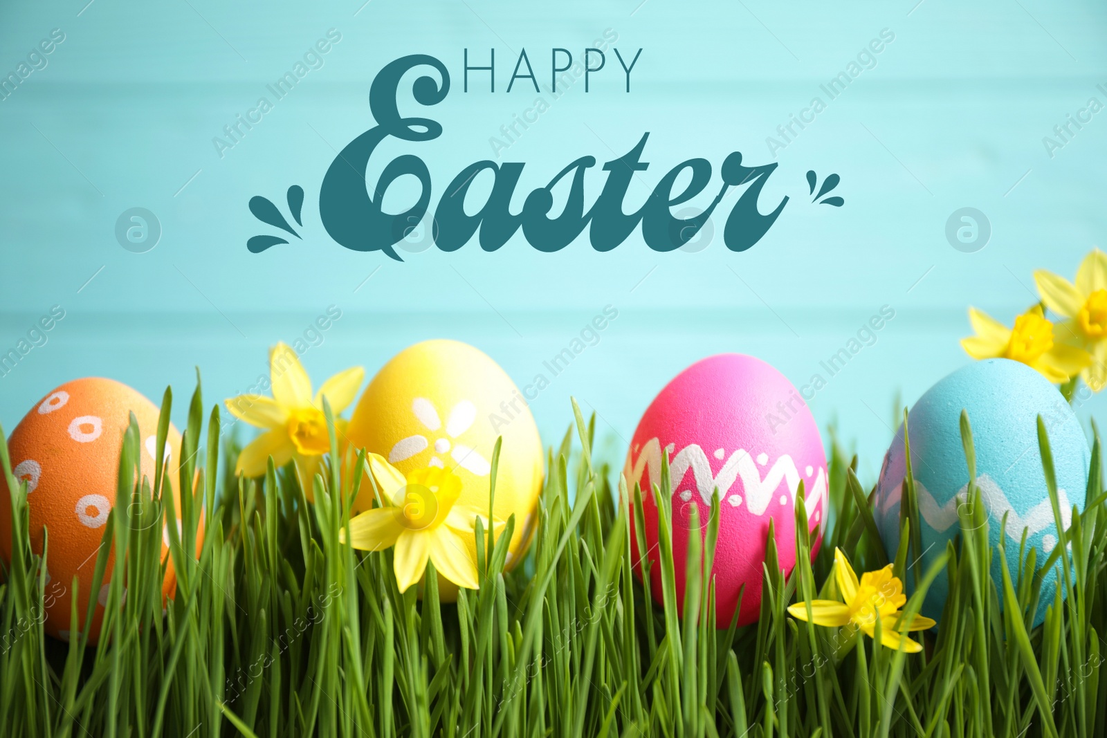 Image of Colorful eggs and narcissus flowers in green grass and text Happy Easter against light blue background