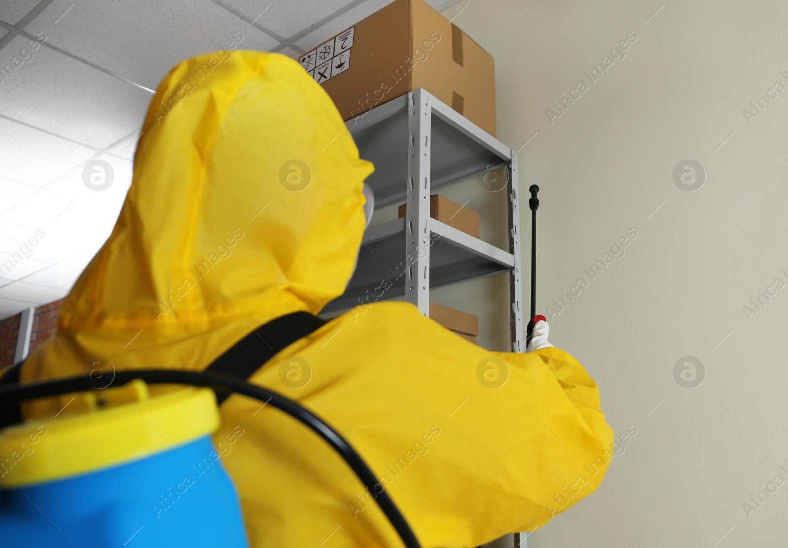 Photo of Pest control worker spraying pesticide on rack indoors