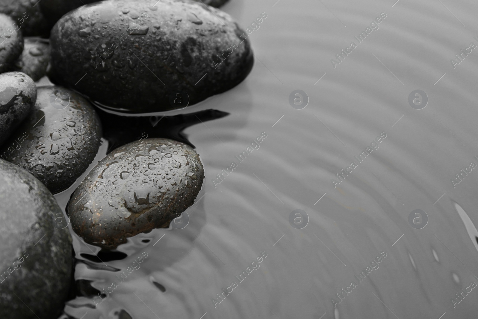 Photo of Beautiful spa stones in water, space for text. Zen lifestyle