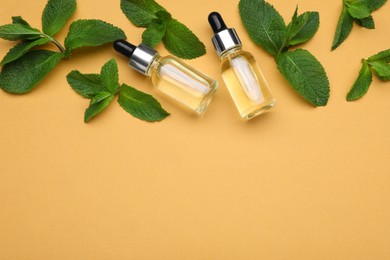 Photo of Bottles of essential oil and mint on pale orange background, flat lay. Space for text