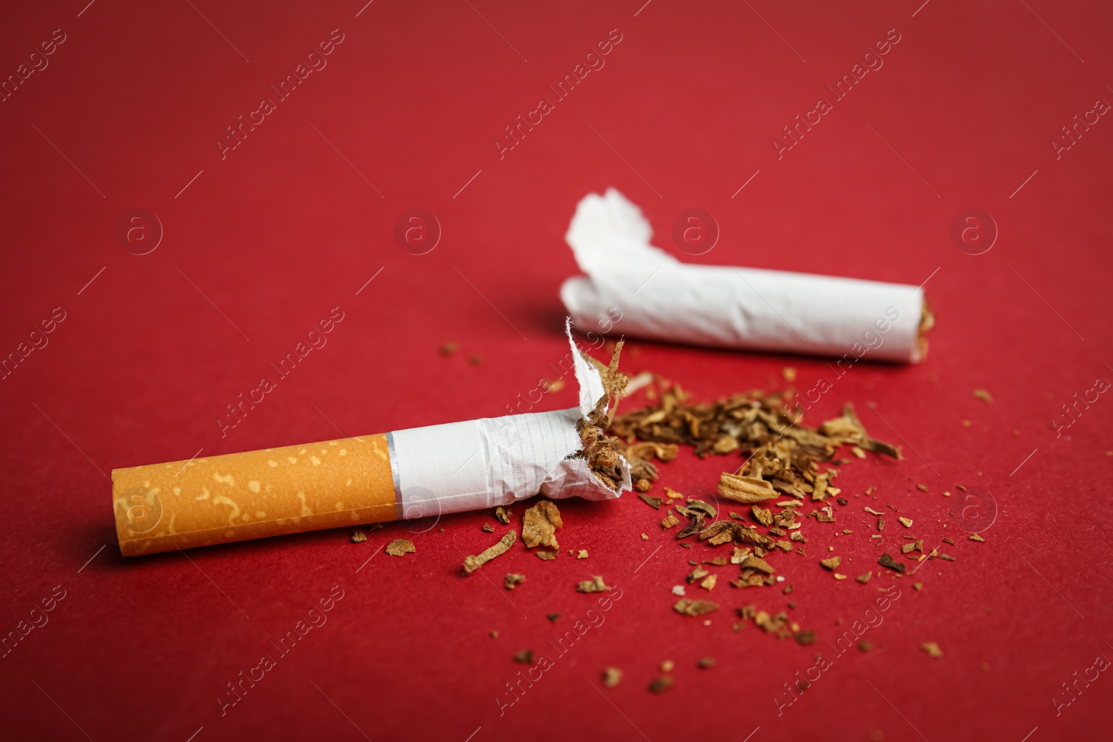 Photo of Broken cigarette on red background, closeup. Quitting smoking concept