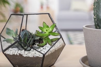 Succulents in florarium on table indoors, closeup. Trendy home interior with plants