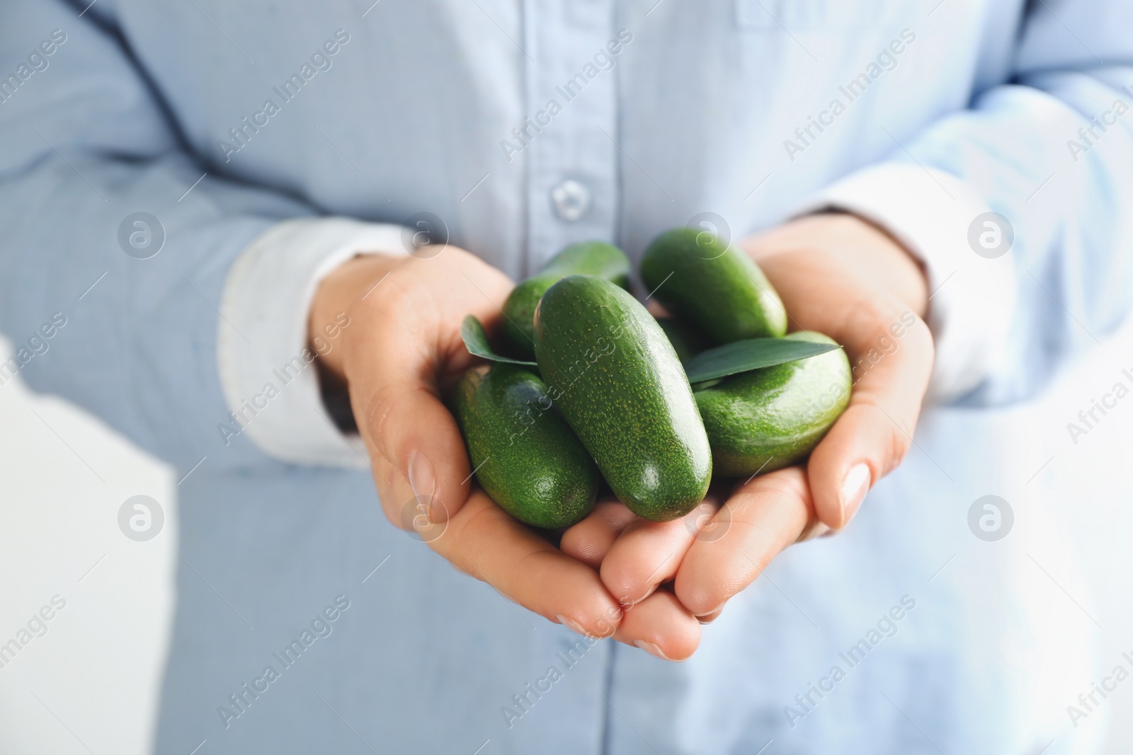 Photo of Woman holding fresh seedless avocados with green leaves, closeup