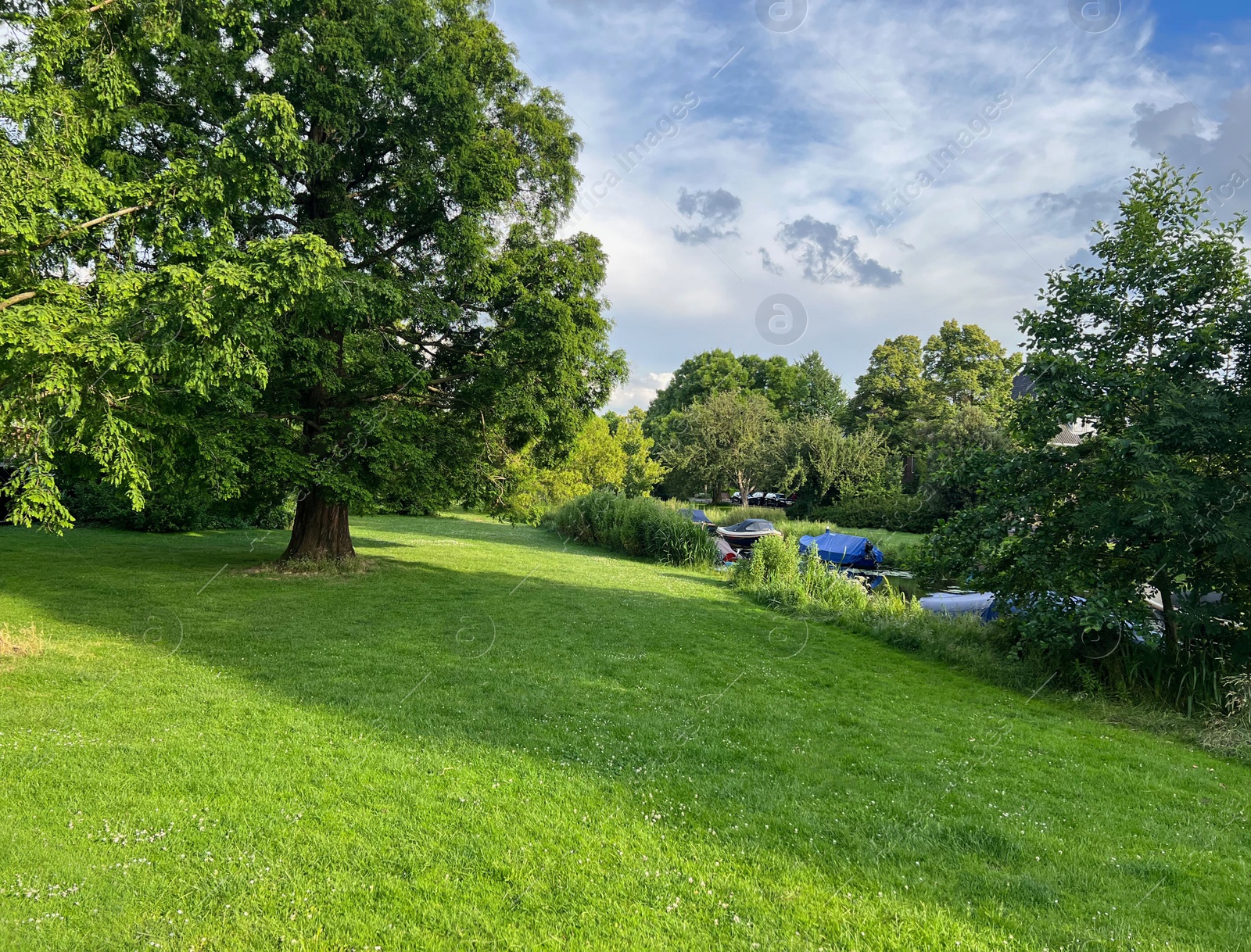 Photo of Picturesque view of beautiful park with fresh green grass and trees on sunny day