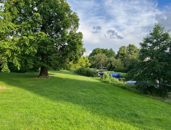 Photo of Picturesque view of beautiful park with fresh green grass and trees on sunny day