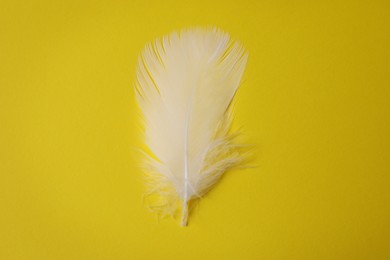 Fluffy white feather on yellow background, top view