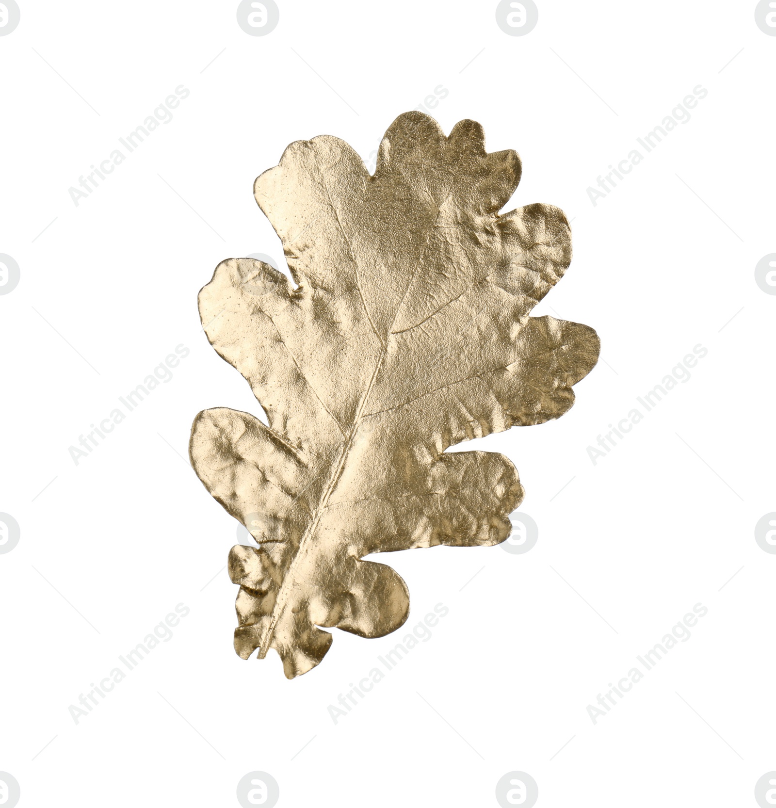 Photo of One golden oak leaf isolated on white. Autumn season