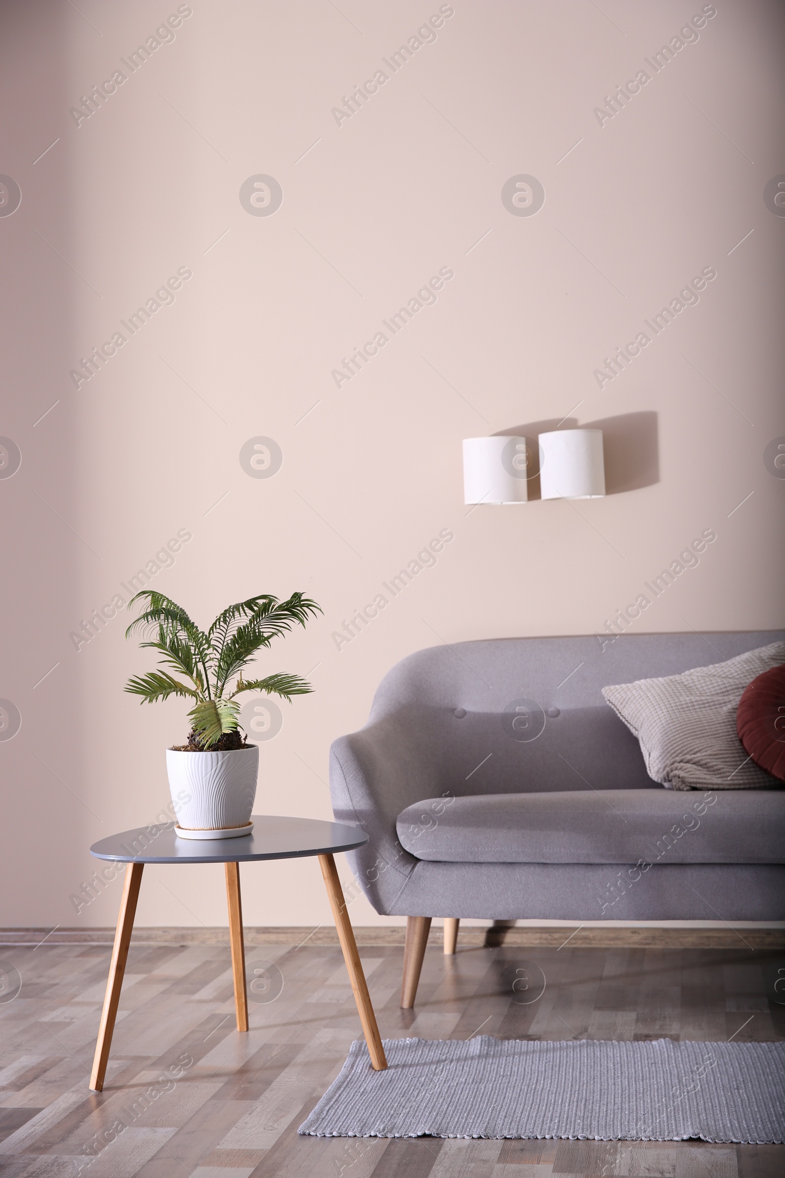 Photo of Modern living room interior with comfortable sofa. Space for text