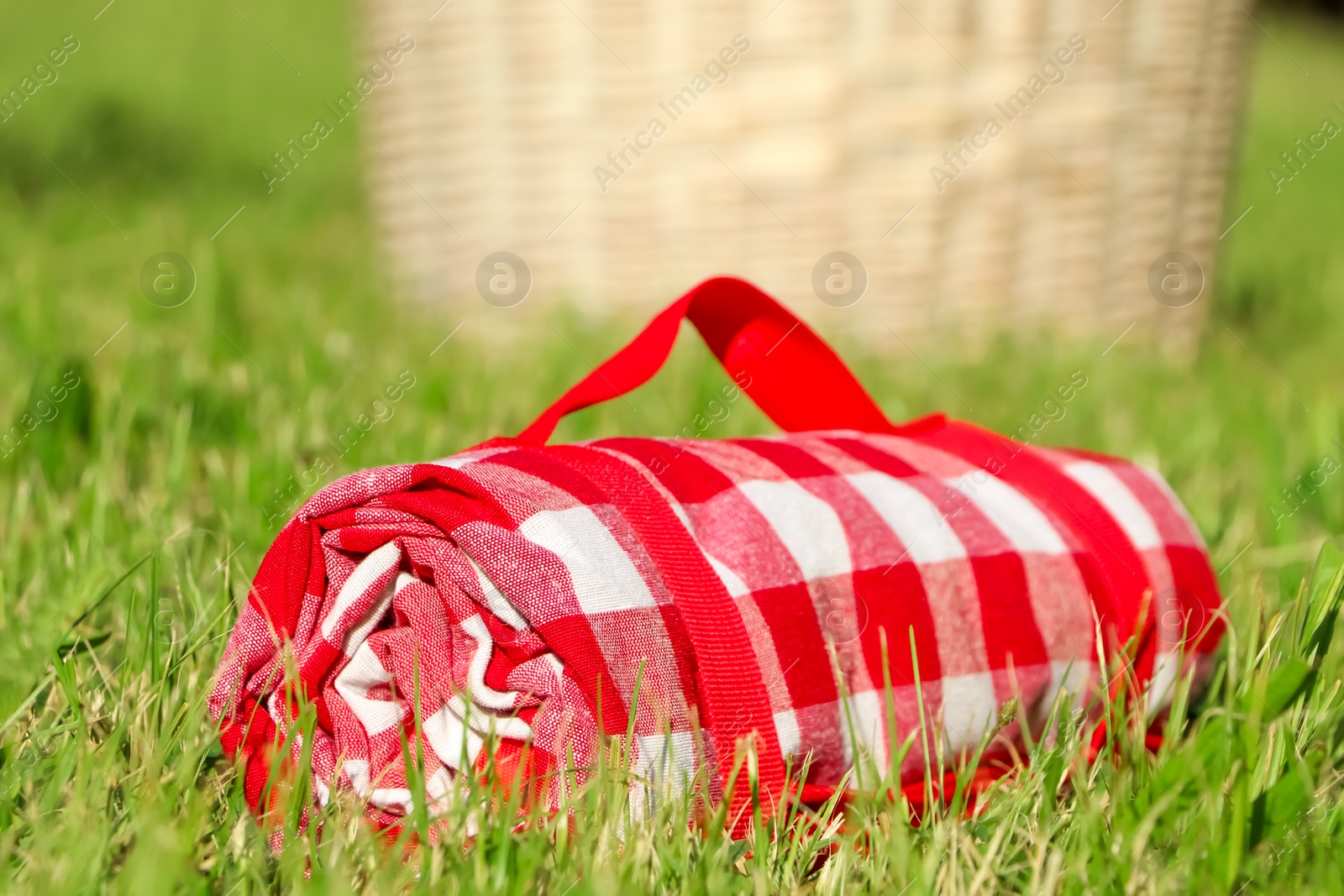 Photo of Rolled checkered picnic tablecloth on green grass, closeup