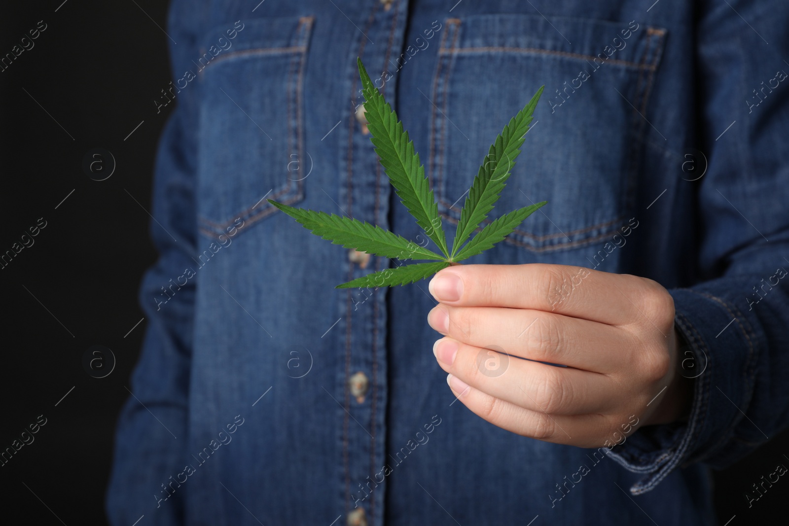 Photo of Woman holding hemp leaf on black background, closeup