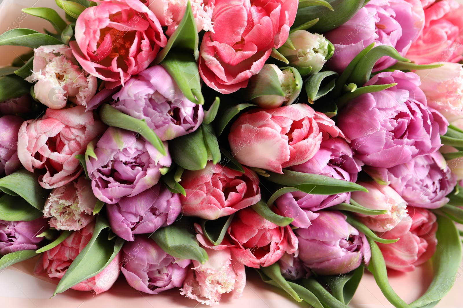 Photo of Beautiful bouquet of tulips as background, closeup
