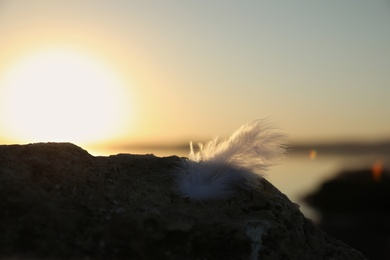 Photo of Feather at beach on sunset, closeup. Healing concept