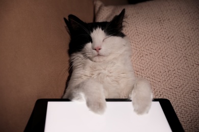 Photo of Cute cat with tablet sleeping on couch at home