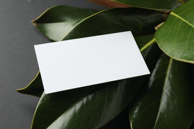 Photo of Blank business card and magnolia branch on black background, closeup. Mockup for design
