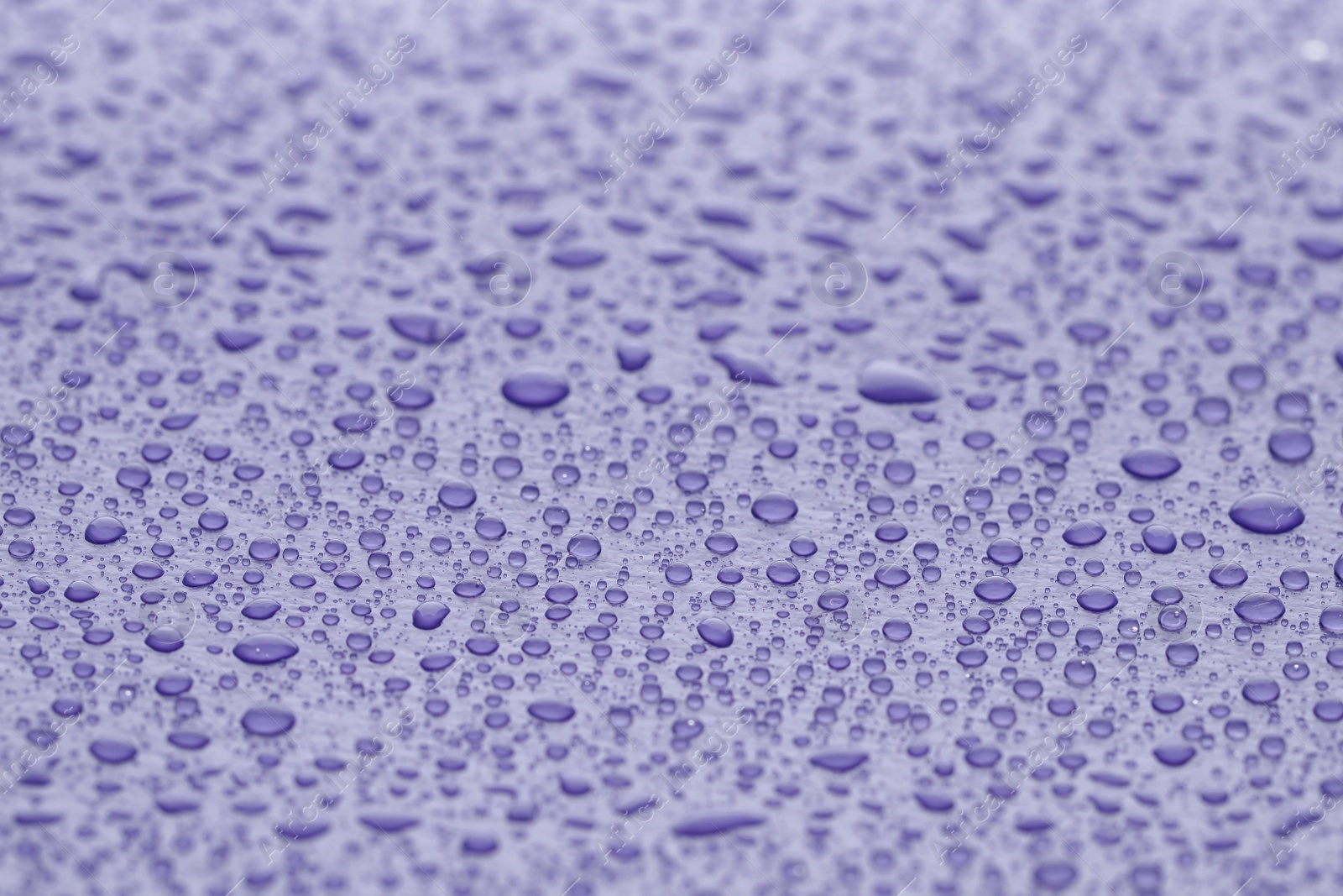 Photo of Water drops on lilac background, closeup view