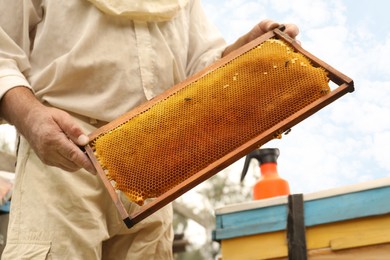 Photo of Beekeeper with hive frame at apiary, closeup. Harvesting honey