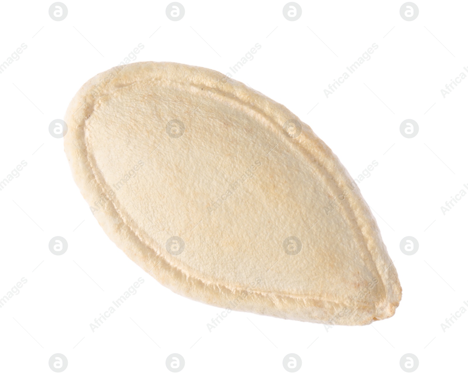 Photo of One dried pumpkin seed isolated on white