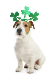 Photo of Jack Russell terrier with clover leaves headband on white background. St. Patrick's Day