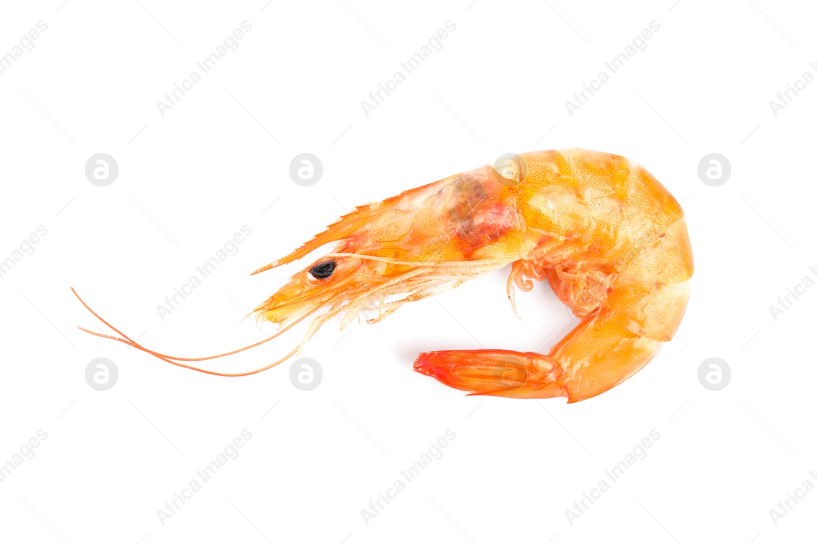 Photo of Delicious cooked whole shrimp isolated on white
