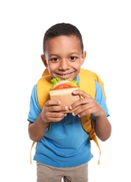 African-American schoolboy with healthy food and backpack on white background