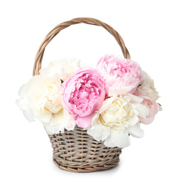 Beautiful peonies in wicker basket isolated on white