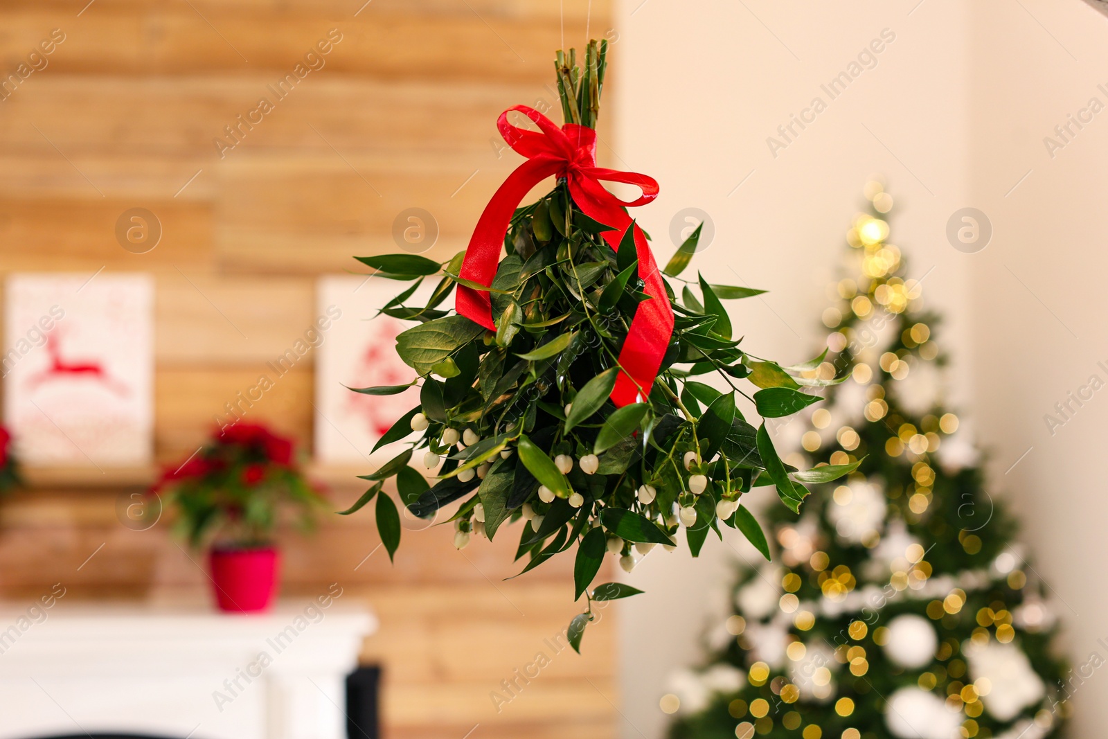 Photo of Mistletoe bunch with red bow hanging in room decorated for Christmas