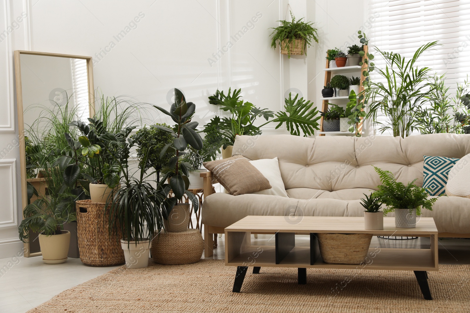 Photo of Stylish room interior with comfortable sofa and beautiful potted plants. Lounge zone