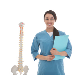 Photo of Young orthopedist with human spine model on white background