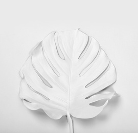 Photo of Painted tropical Monstera leaf on white background, top view