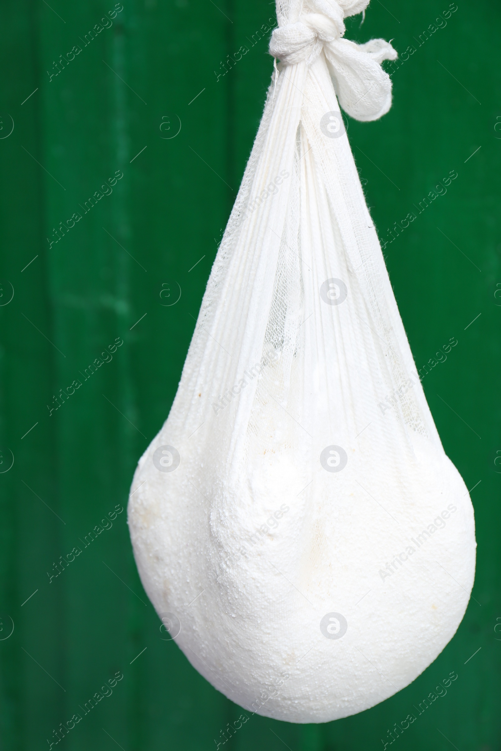 Photo of Delicious raw cottage cheese in cheesecloth on green background