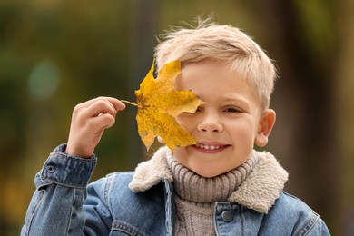 Portrait of happy boy covering face with autumn dry leaf outdoors