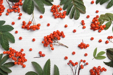 Fresh ripe rowan berries and green leaves on white wooden table, flat lay