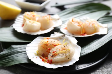 Photo of Raw scallops with spices, lemon zest and shells on grey table, closeup