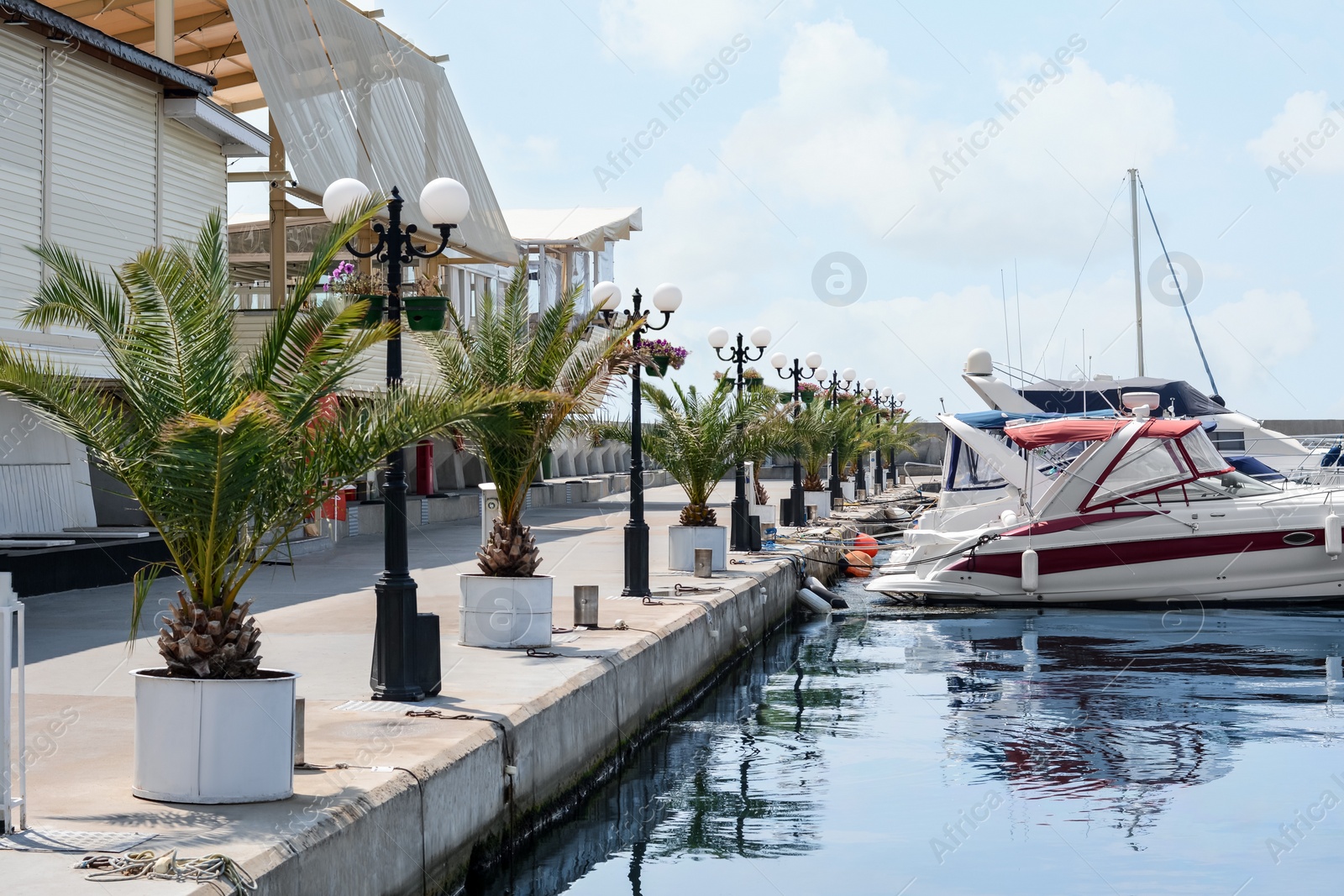 Photo of Beautiful view of city pier with moored boats and palms on sunny day