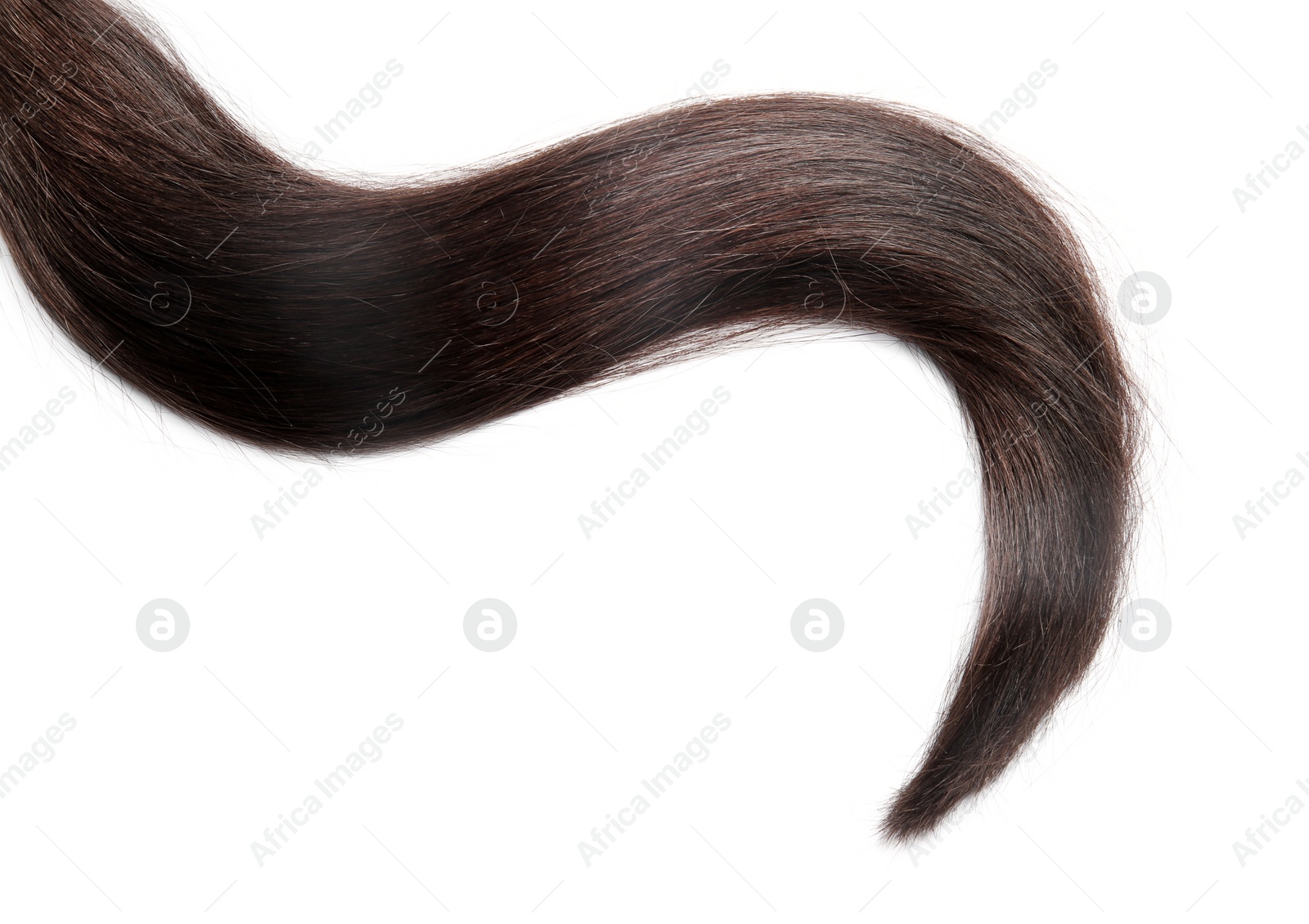 Photo of Lock of healthy brown hair on white background