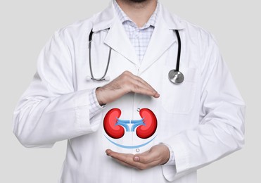 Closeup view of doctor and illustration of kidneys on light background