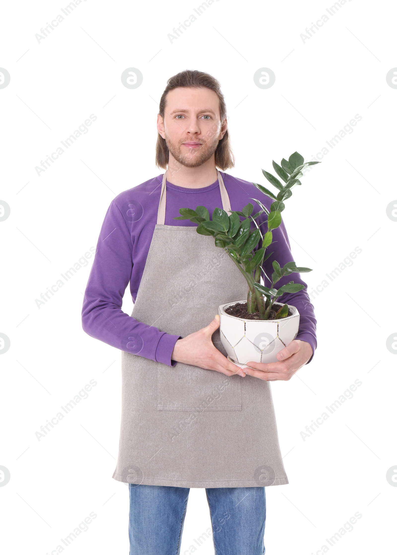 Photo of Male florist holding houseplant on white background