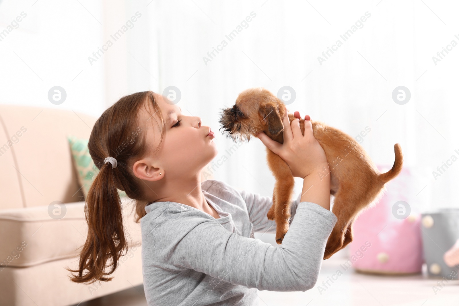 Photo of Portrait of cute girl with funny Brussels Griffon dog at home. Loyal friends