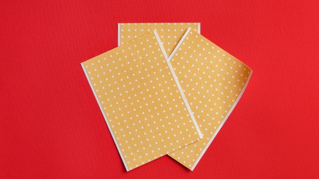 Photo of Pepper plasters on red background, flat lay