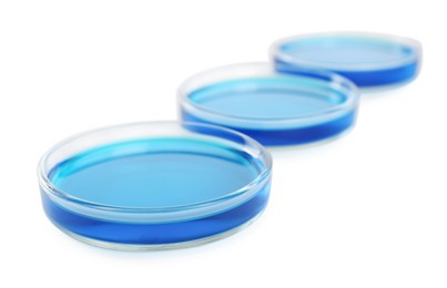 Petri dishes with light blue liquid on white background, closeup