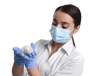 Photo of Scientist holding rat on white background. Animal testing