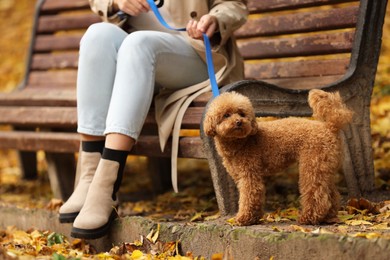 Photo of Woman with cute Maltipoo dog on leash in autumn park, closeup