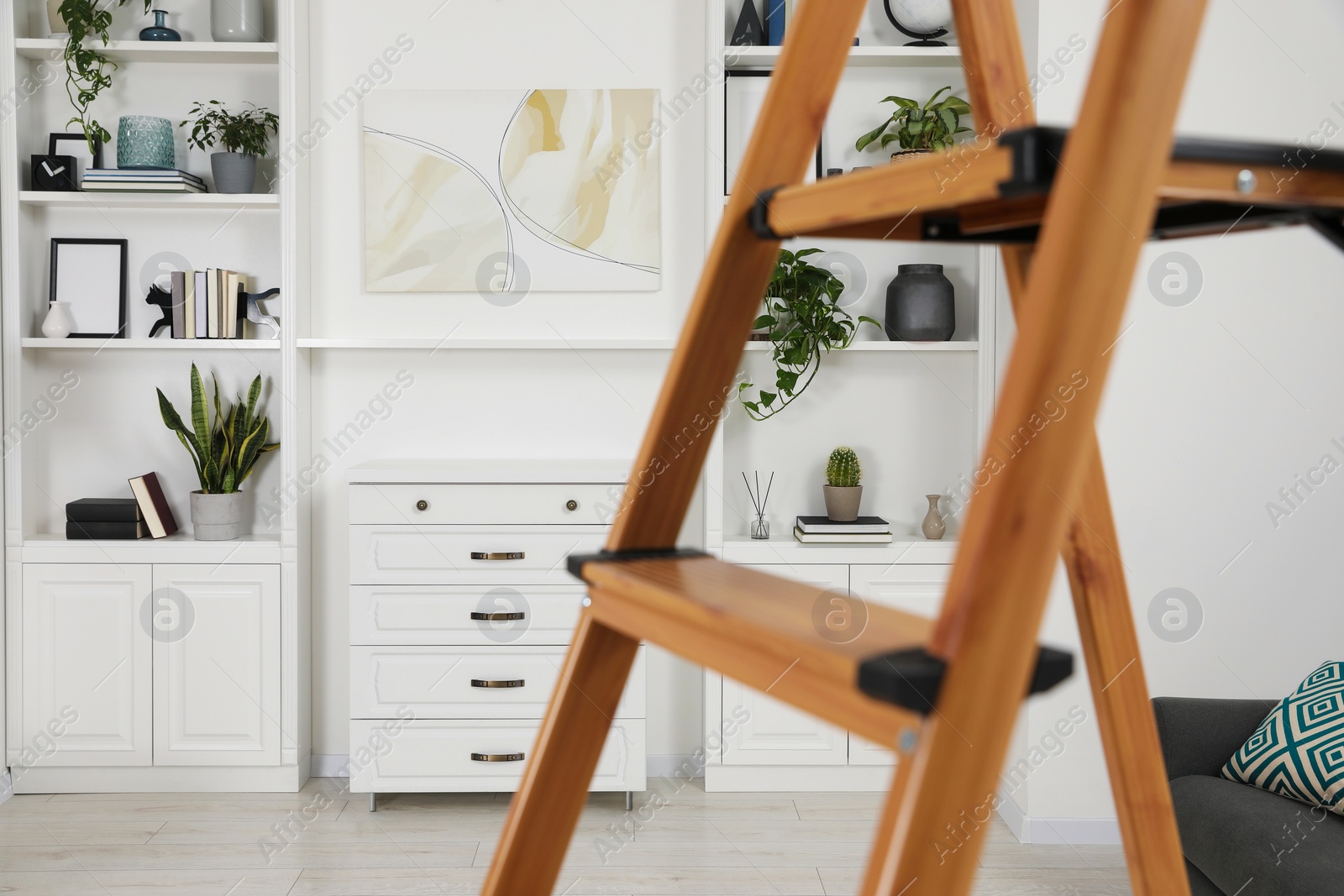 Photo of Beautiful potted plants and accessories on shelves in room, view through wooden ladder