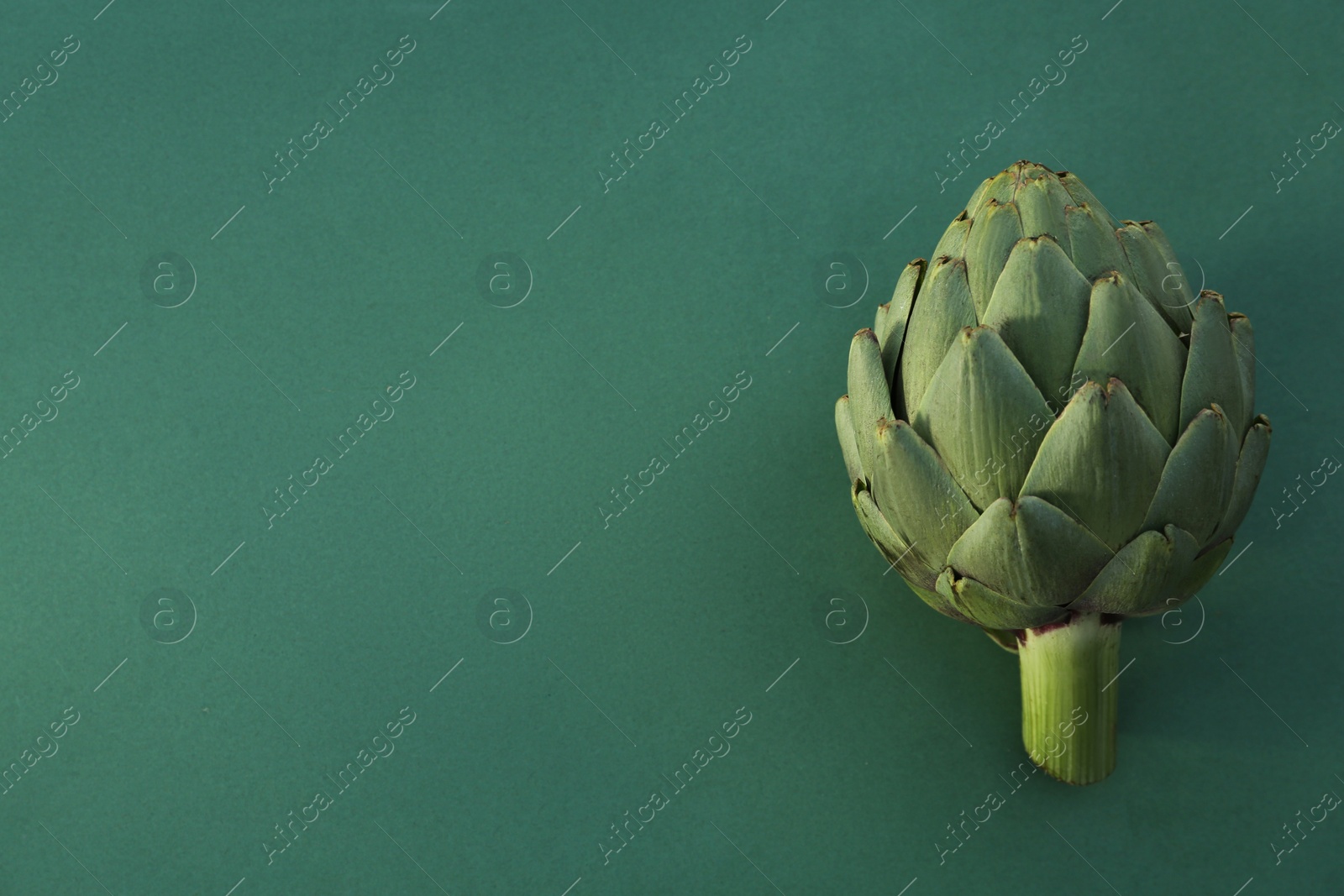 Photo of Whole fresh raw artichoke on green background. Space for text