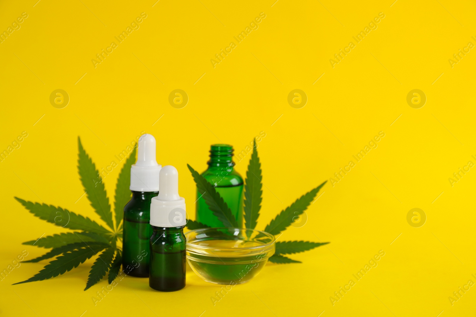 Photo of Hemp leaves, CBD oil and THC tincture on yellow background. Space for text